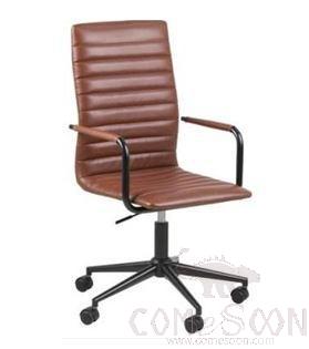 Desk Chair,Sus 201,58(w)*45(d)*103 (h)cm