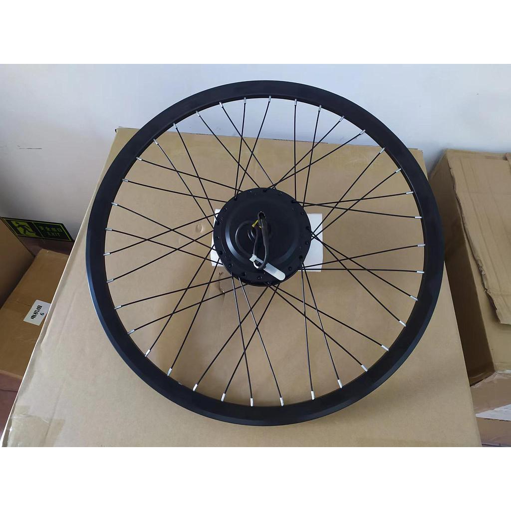 Mountain bike motor wheel