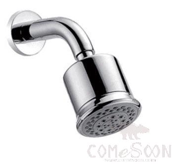 WALL MOUNTED SHOWER HEADWITH SHOWER ARM