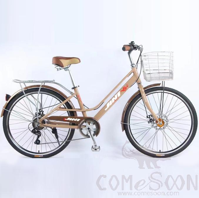 Bicycle,Bronze,Aluminum alloy,24&quot;