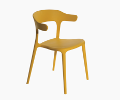 Dining Chair，Pp,D48.5*W51*H74.5*SH46CM
