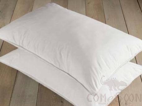 Pillow Firm