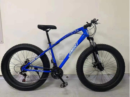 Beach bike, 26&quot;, High carbon steel frame,  Customized logo