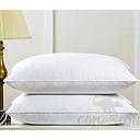 Standard Pillow-Cotton,50*70cm