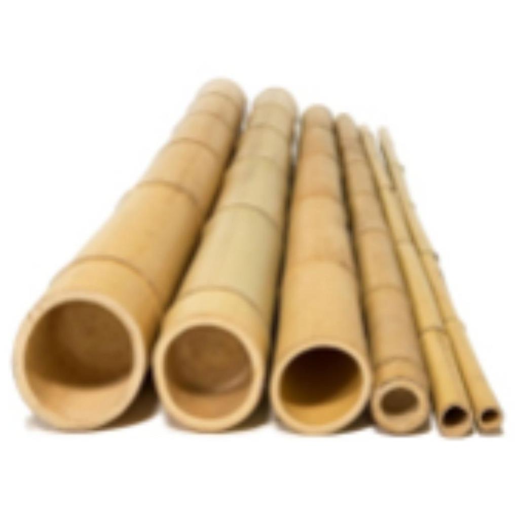 Bamboo Pole，12CM