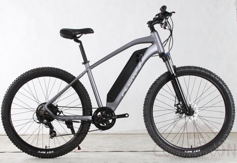 Electric bicycle, 750W, 48V 10AH, 27.5&quot;, Style 1