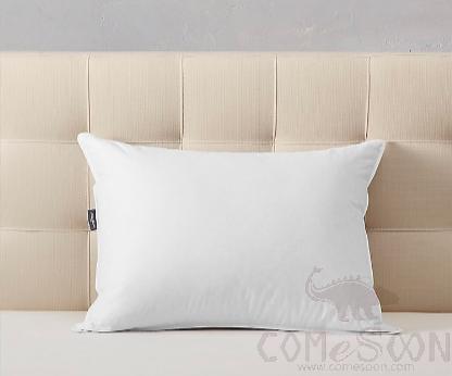 Premium Special Down Pillow,Cotton,60*80cm