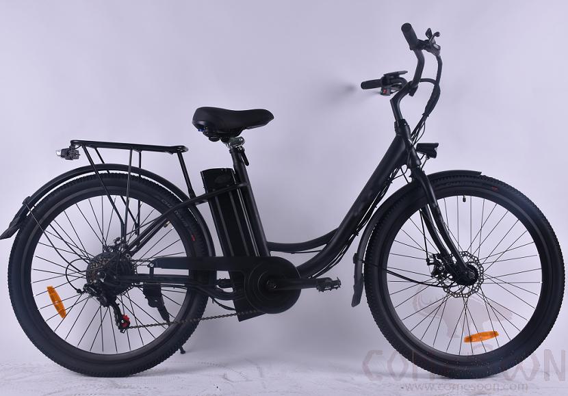 Electric bicycle, 250W, 36V 8AH, 26&quot; Style 3