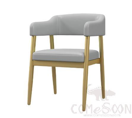 Gray Dining Chair, Iron Frame, W51*L52*H75Cm