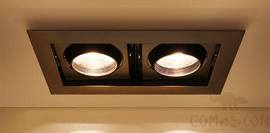 Recessed Adjustable Spotlight, 20W,165*85mm