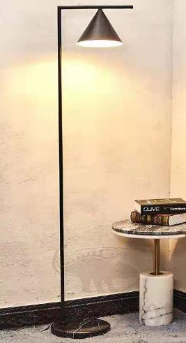 Floor Lamp, Wrought Iron, φ20*155Cm