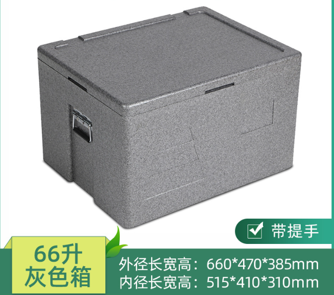 EPP Thermo Box W/ Chrome Plated Carrying Handle, 66L