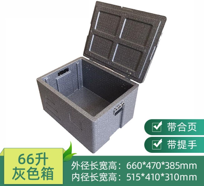 EPP Thermo Box W/ Chrome Plated Carrying Handle &amp; Electrophoretic Hinge, 66L