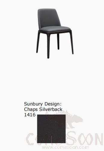 Dining Chair