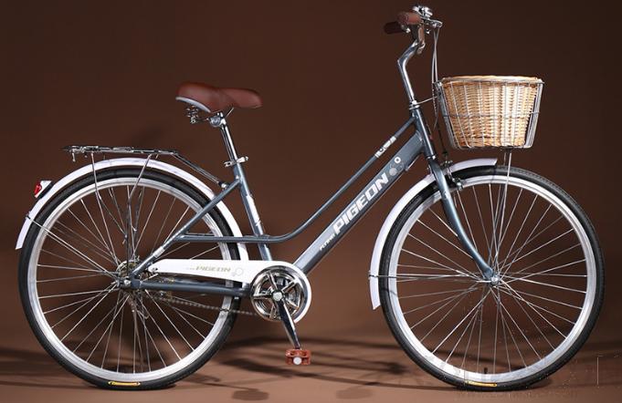 Lady's Bicycle, 26&quot;, Gray