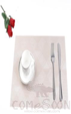 Hot Pressed Edge Pvc Placemat,Jacquard 28*43*0.1cm