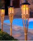 Solar Torch Light