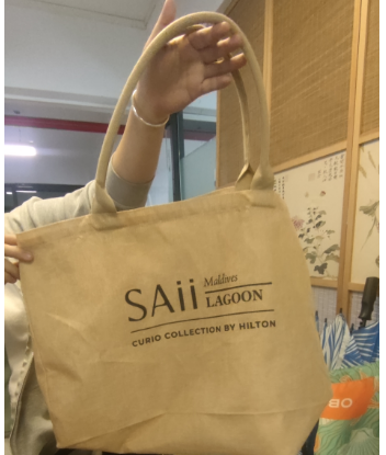 Hand Bag，Imitation Hemp，L56*H34cm