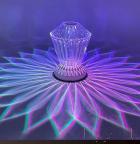 Lotus Lamp, Hardware+Acrylic, 120*150Mm