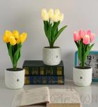 Tulip Lamp A, Plastic, 350*100Mm