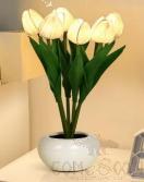 Tulip Lamp Model B, Plastic, 90*230Mm