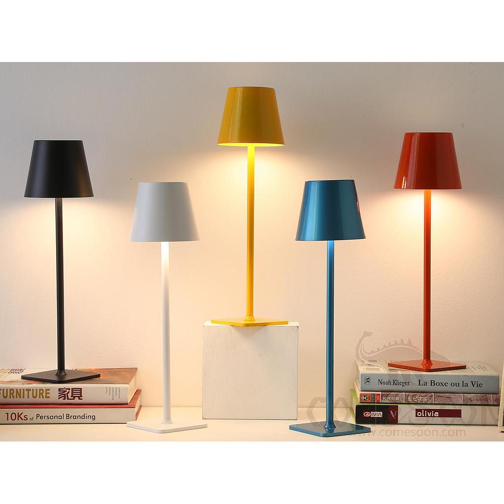 Tall Lamp, Iron+Acrylic, 10*37Cm