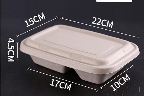 Disposable Biodegradable Pulp Lunch Box,Double Compartment,750ml