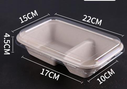 Disposable Biodegradable Pulp Lunch Box,Double Compartment,750ml