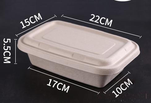 Disposable Biodegradable Pulp Lunch Box,Single Compartment,1000ml