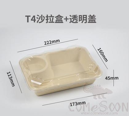 Salad Box With Transparent Lid, 222*160*45mm