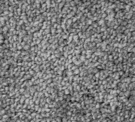 Carpet, Loop Pile, 4M