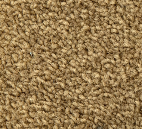 Carpet, Loop Pile, 4M