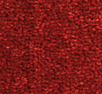 Carpet, Loop Pile, 4M