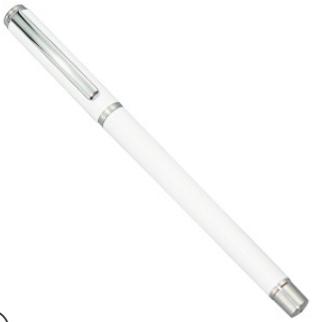 Pen