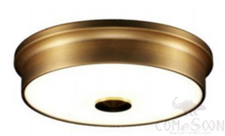 Ceiling Lamps, D420*H65 mm