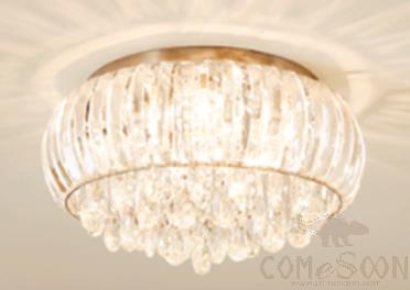 Ceiling Lamps, D450*H300 mm