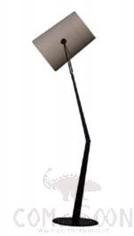 Floor Lamps, L400*W530*H1750 mm