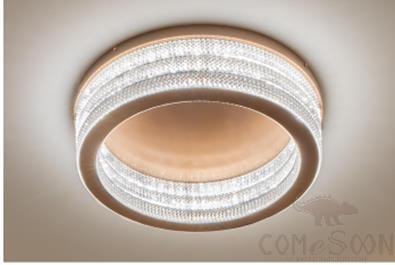 Ceiling Lamps, D500*H190 mm