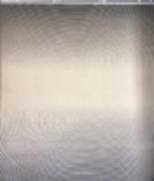 Wilton Rug-300*400mm