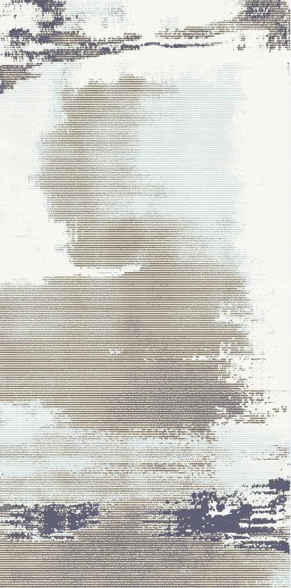 Wilton Rug-200*290mm