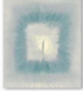 Wilton Rug-240*340mm