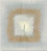 Wilton Rug-240*340mm