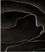 Wilton Rug-160*230mm