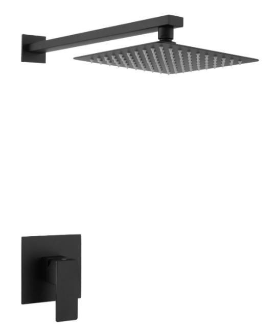 Concealed Shower-Brass