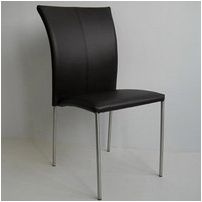Stainless steel dining chair