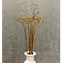 Decorative Plant