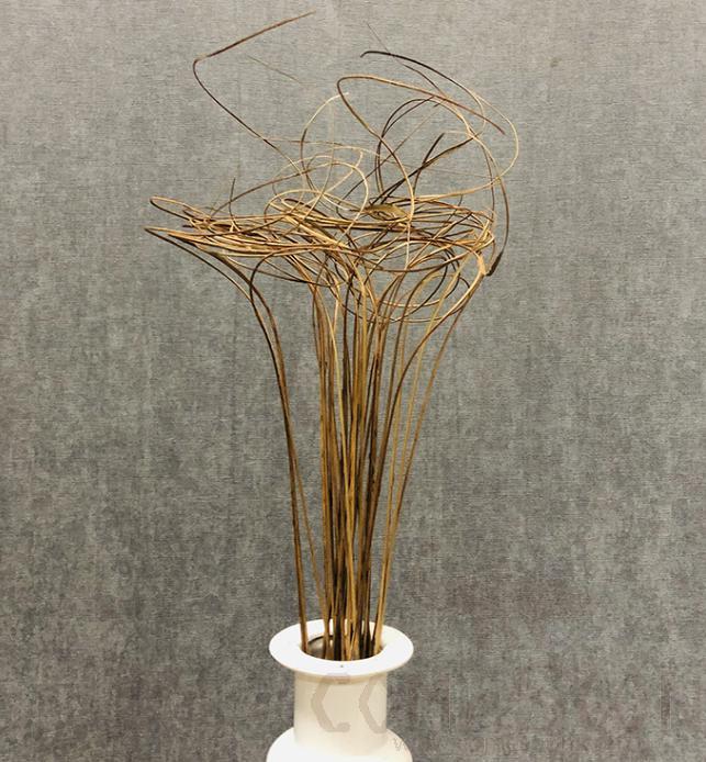 Decorative Plant