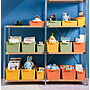 Storage Tray Orange-L30.5*W20*H12 CM