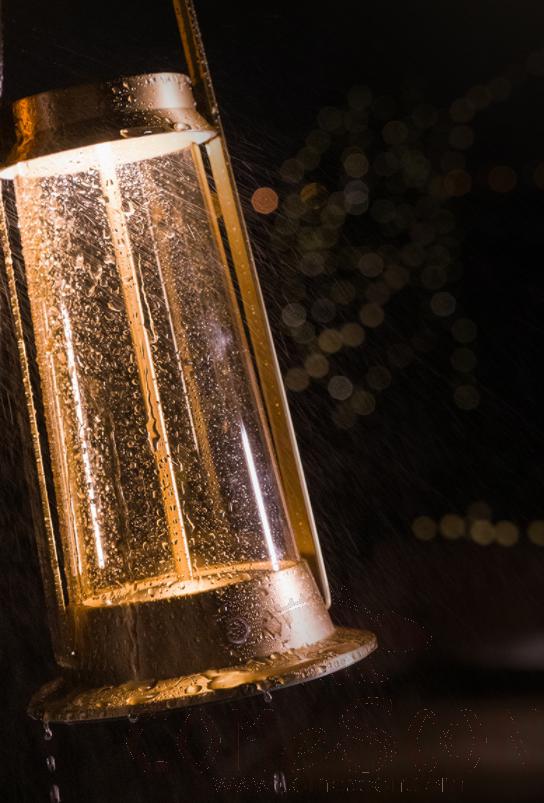 Carrier Lantern-Nickel-D160*H362 CM