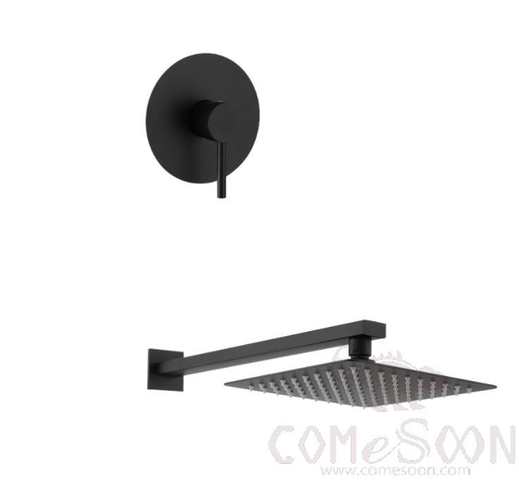 Concealed Shower-Brass